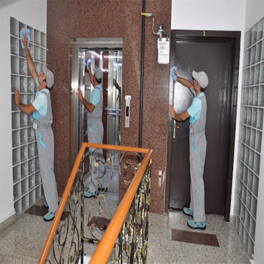 APARTMAN TEMİZLİĞİ