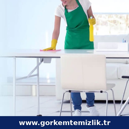 İstanbul profesyonel temizlik görseli